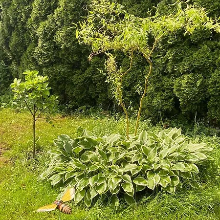 Διαμέρισμα Haus Roith *