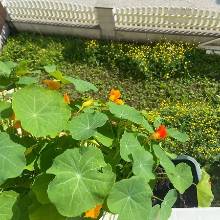 Haus Roith 아파트 에벤시