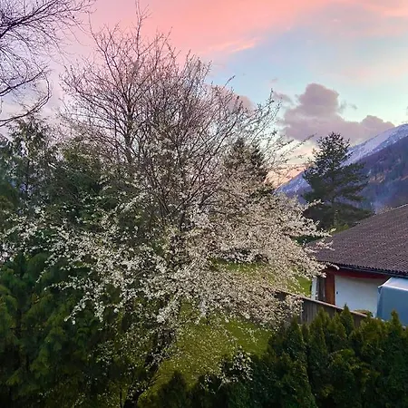 Haus Roith Διαμέρισμα *