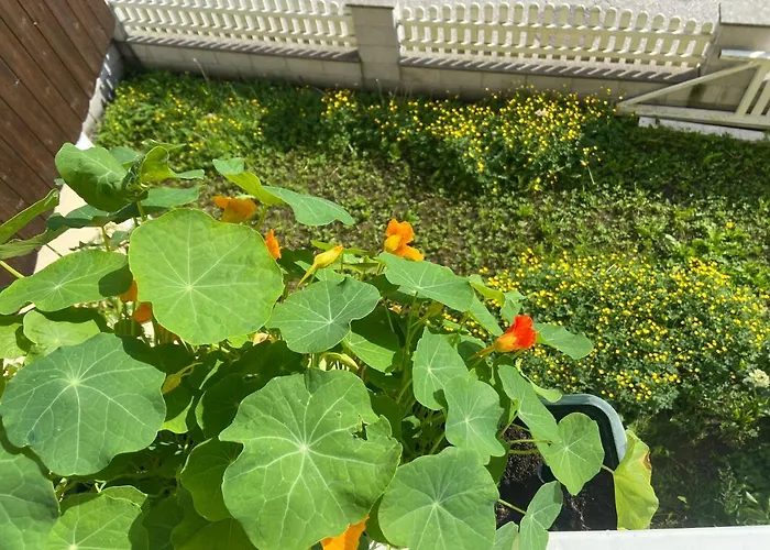 Haus Roith شقة ابينسي