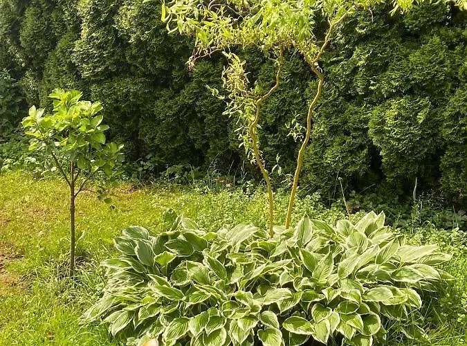 Lägenhet Haus Roith *